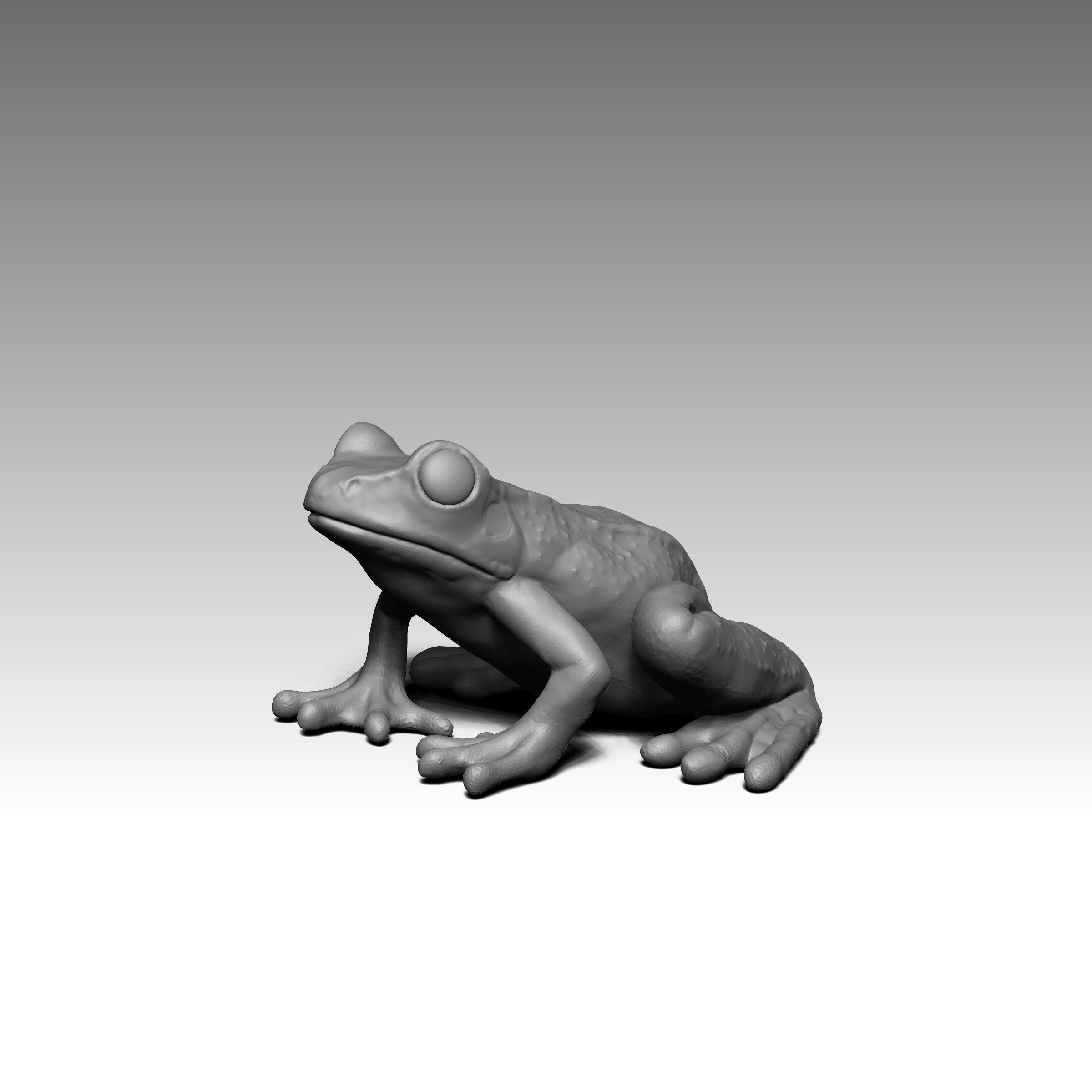 Rana  - frog 3D print model_1