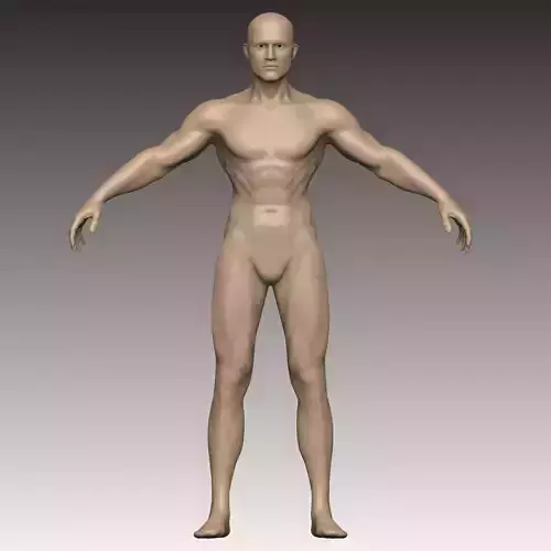 T POSE - base body man - cuerpo base hombre 3D print model