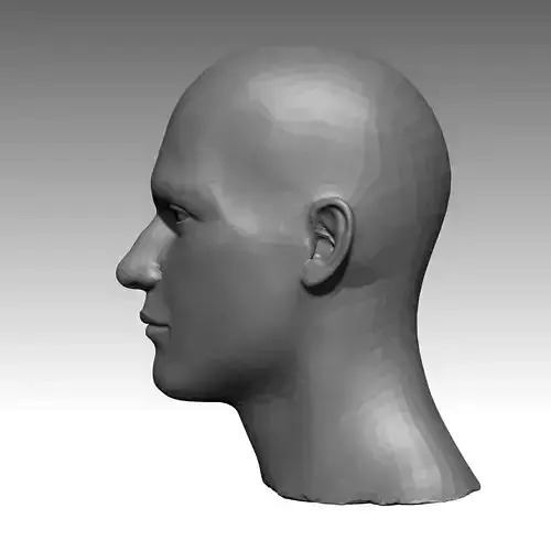 modelo base de rostro de hombre  base model of man s face