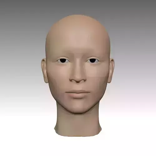 modelo base de rostro de mujer  base model of womans face 