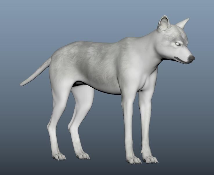 WhiteWolf 3D model_8