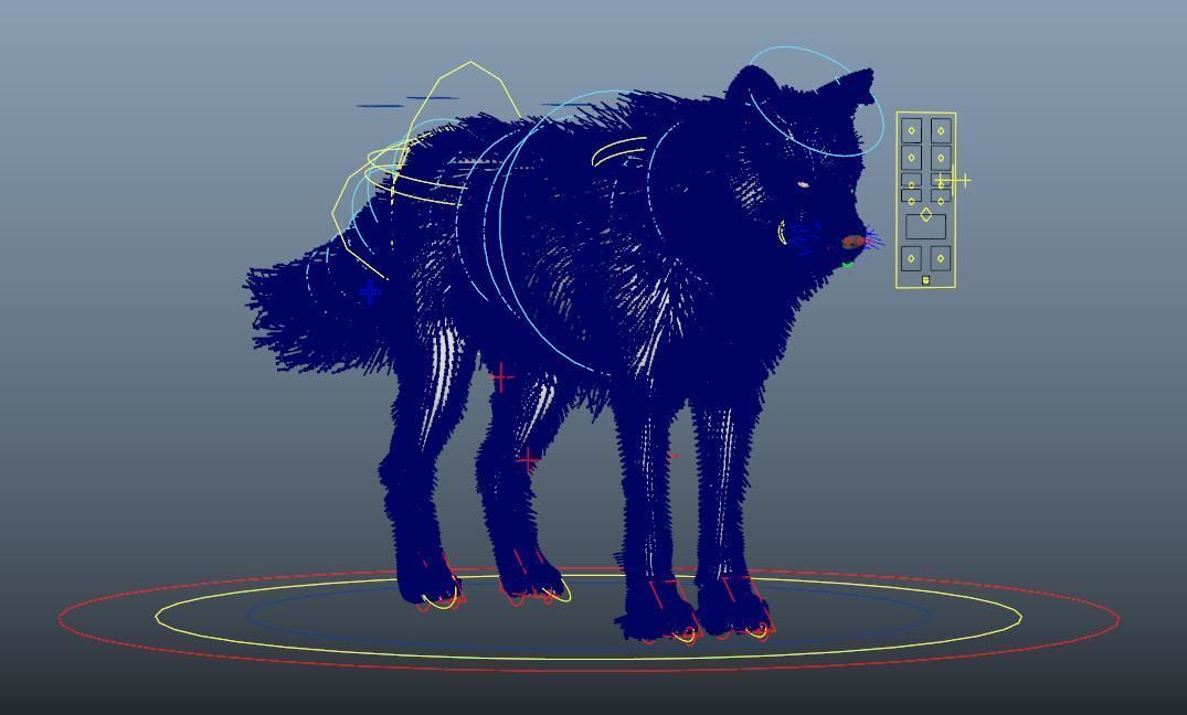 WhiteWolf 3D model_5