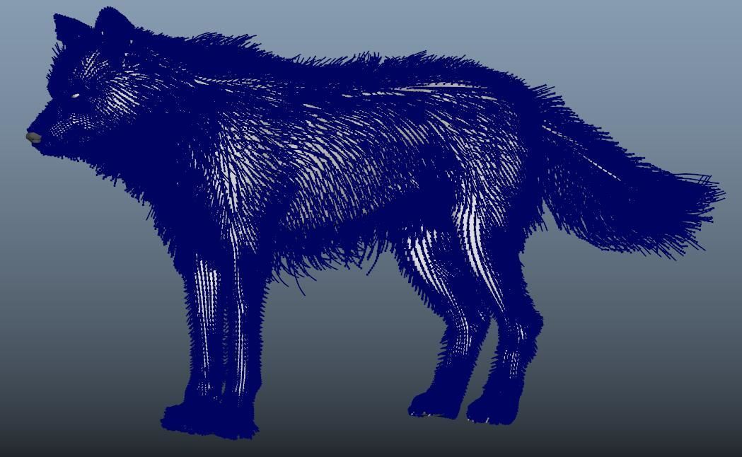 WhiteWolf 3D model_6