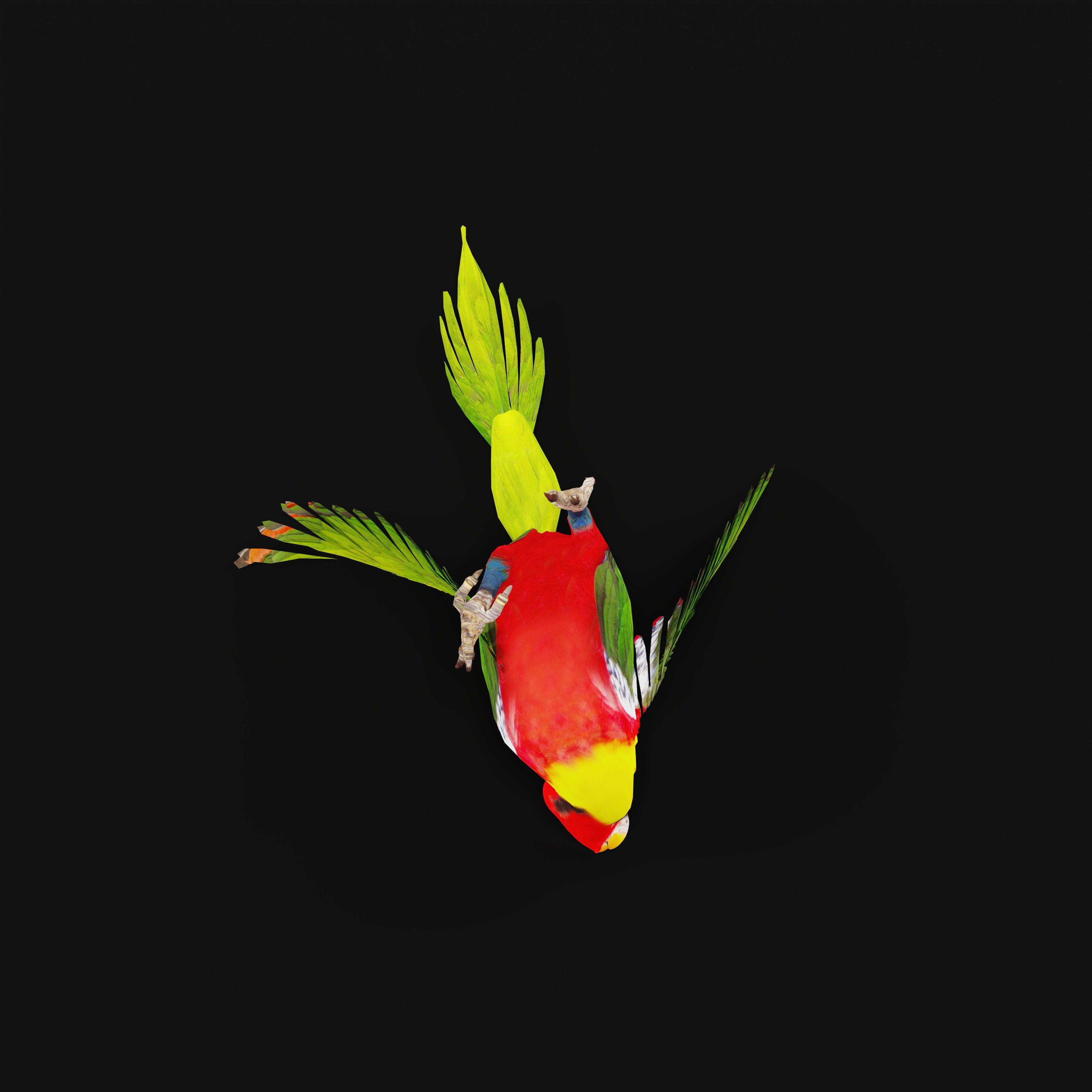 Yellow Bibbed Lory Parrot Bird Low-poly 3D model_12