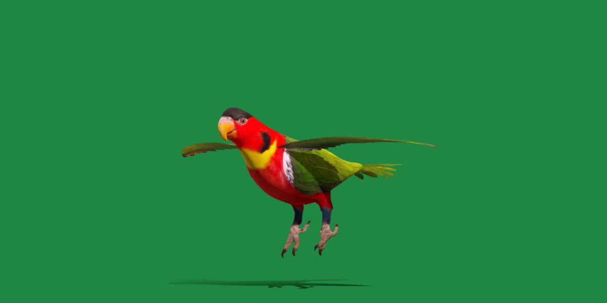Yellow Bibbed Lory Parrot Bird Low-poly 3D model_35