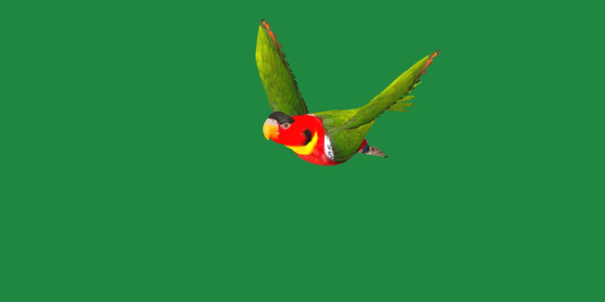 Yellow Bibbed Lory Parrot Bird Low-poly 3D model_47