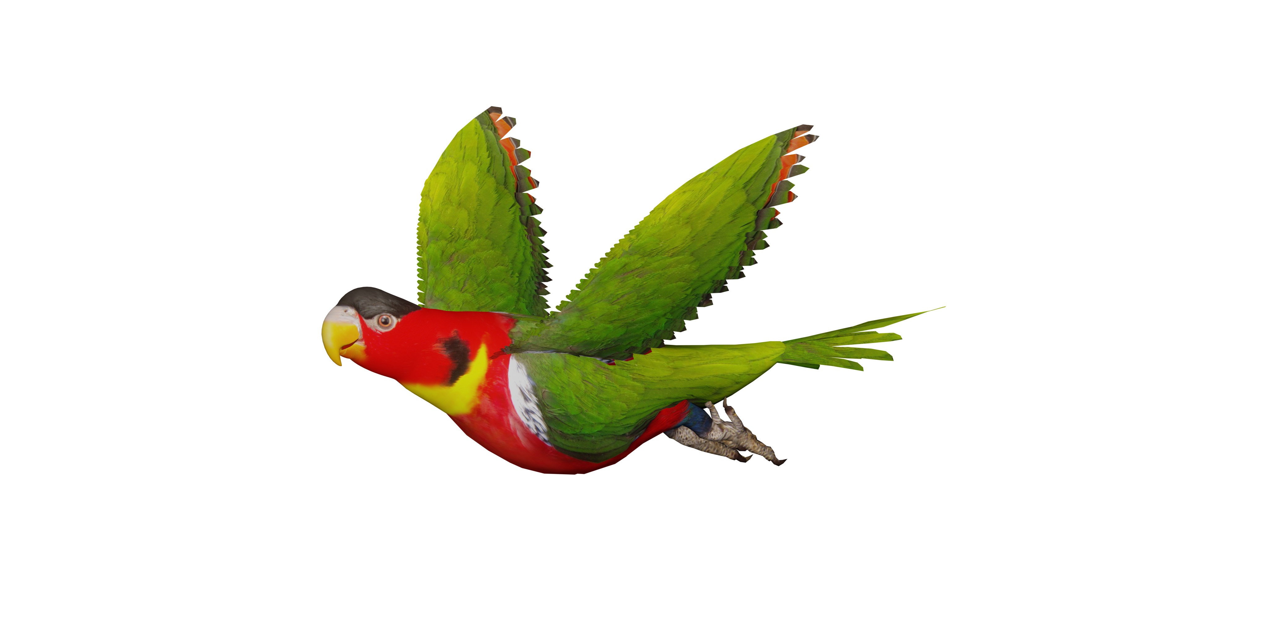 Yellow Bibbed Lory Parrot Bird Low-poly 3D model_2