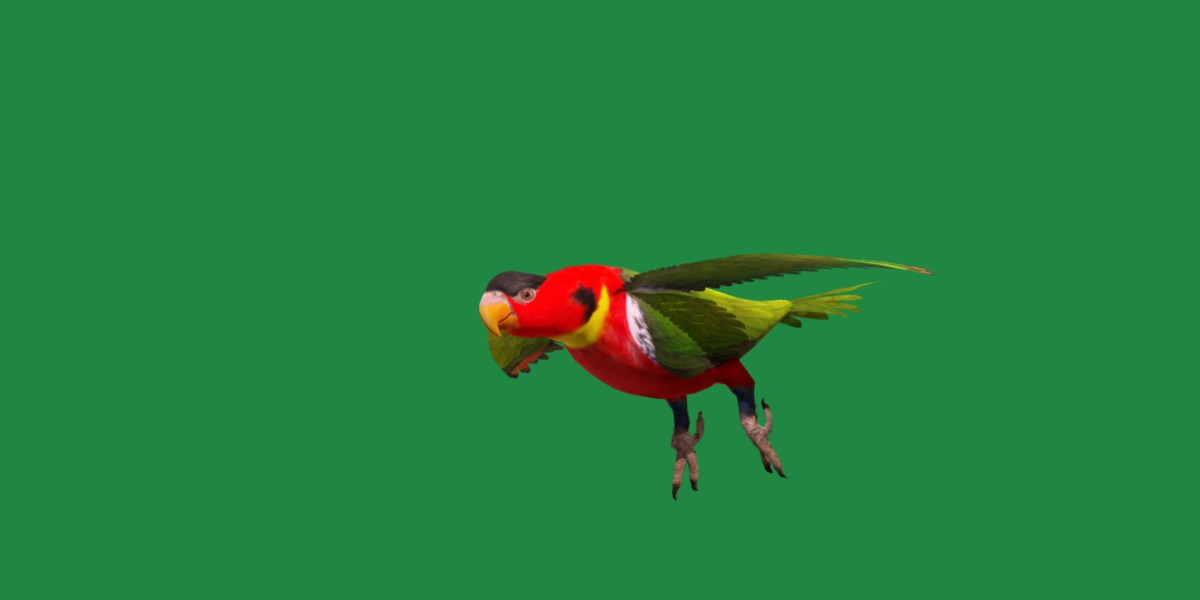 Yellow Bibbed Lory Parrot Bird Low-poly 3D model_45