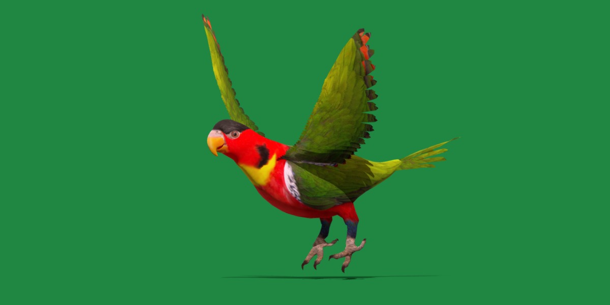 Yellow Bibbed Lory Parrot Bird Low-poly 3D model_16
