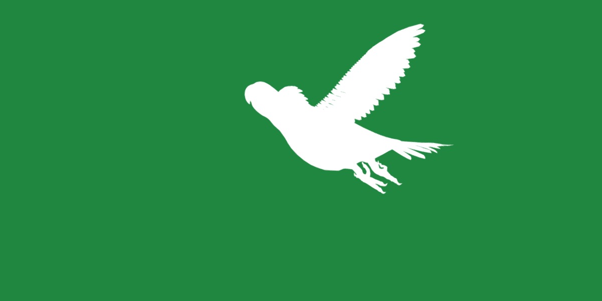 Yellow Bibbed Lory Parrot Bird Low-poly 3D model_17