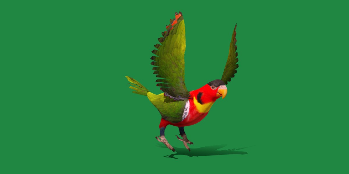 Yellow Bibbed Lory Parrot Bird Low-poly 3D model_37