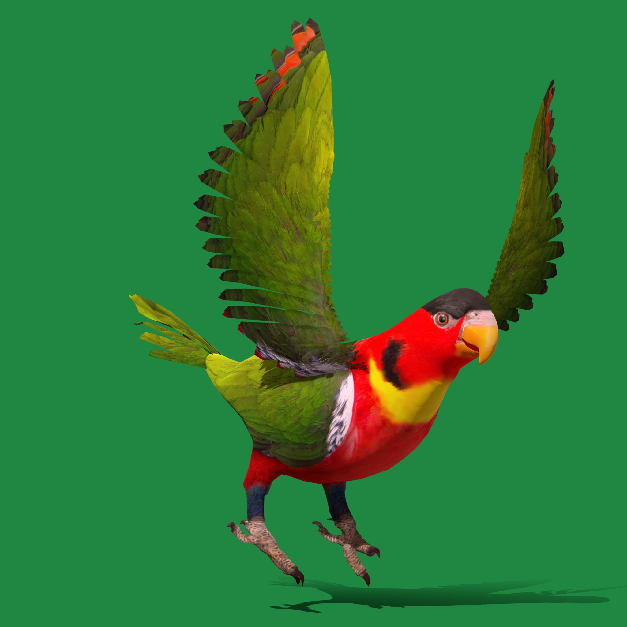 Yellow Bibbed Lory Parrot Bird Low-poly 3D model_39