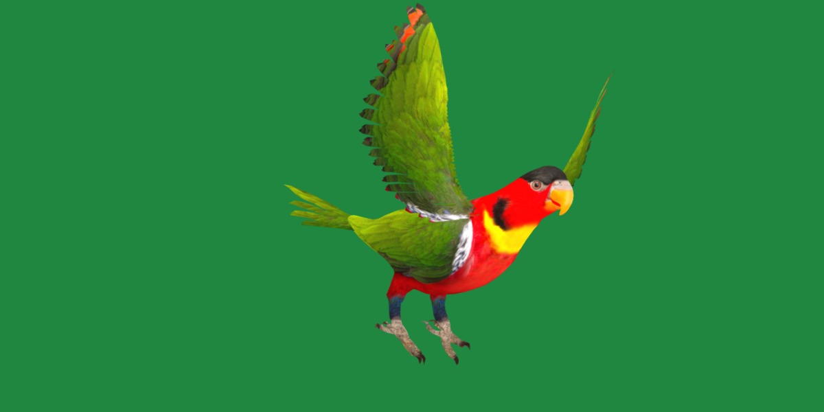 Yellow Bibbed Lory Parrot Bird Low-poly 3D model_27