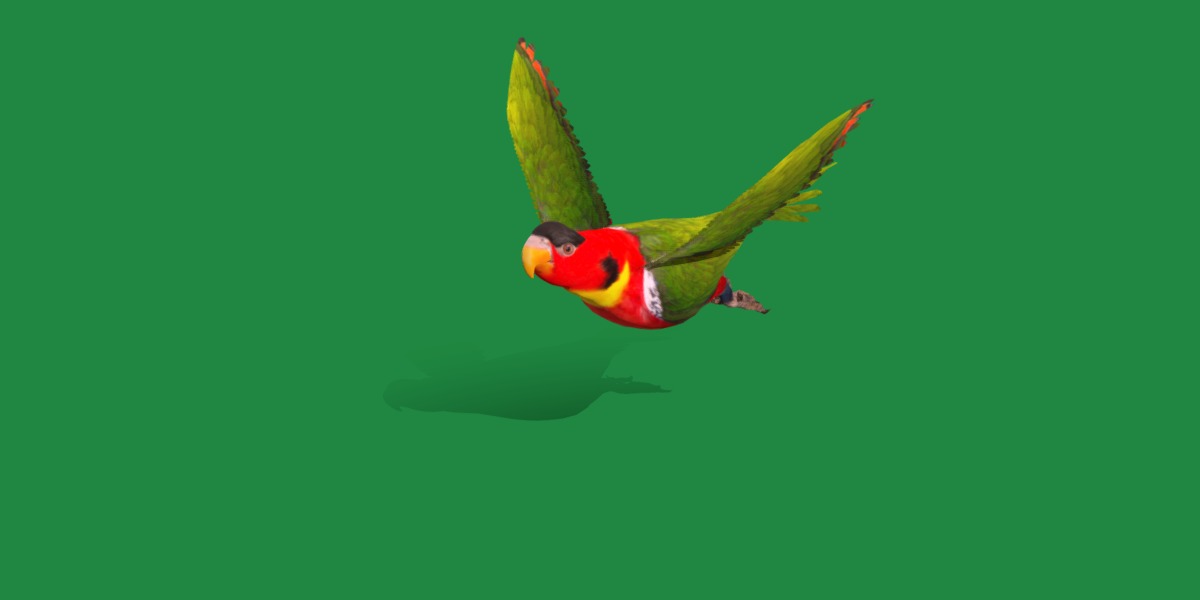 Yellow Bibbed Lory Parrot Bird Low-poly 3D model_46