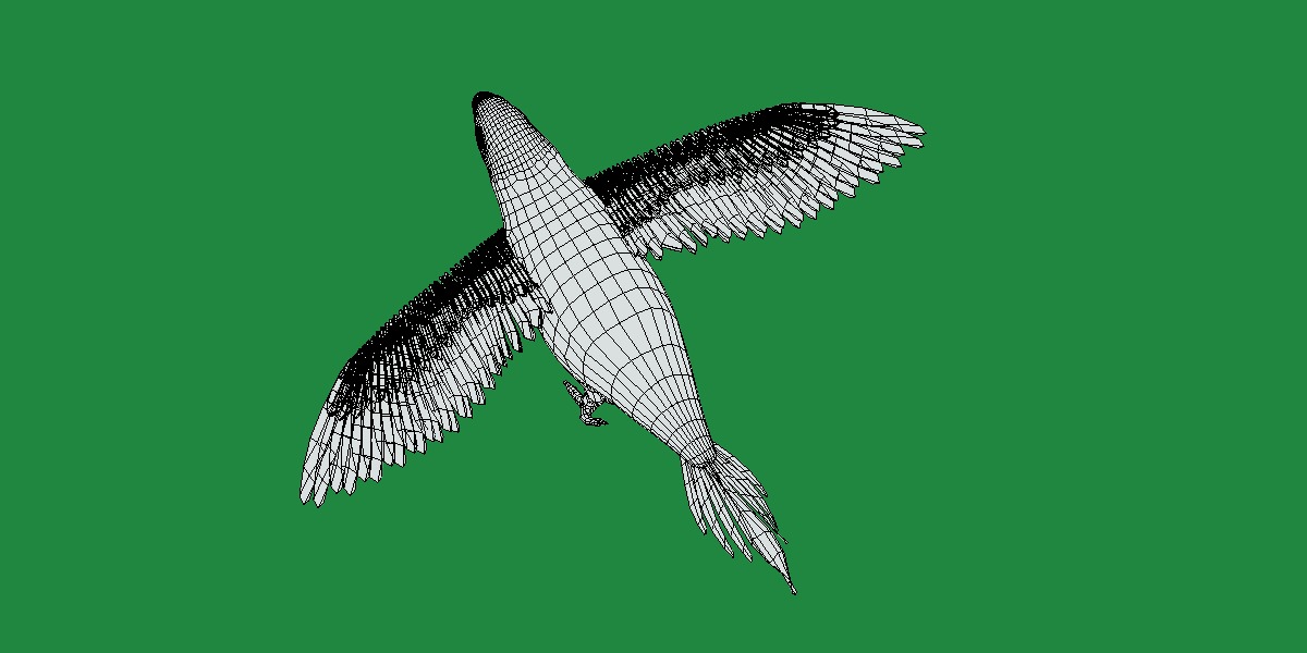 Yellow Bibbed Lory Parrot Bird Low-poly 3D model_28