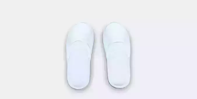 TASJON Slippers 1