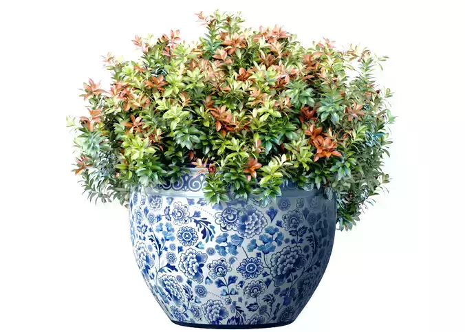 Decorative flowering garden plant Bouquet in a vase pot Jar 