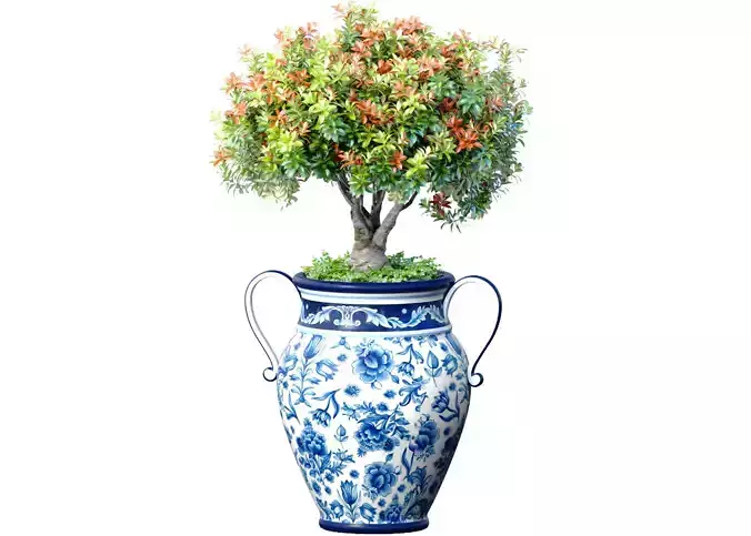Decorative flowering garden tree plant in Italian floor vase 