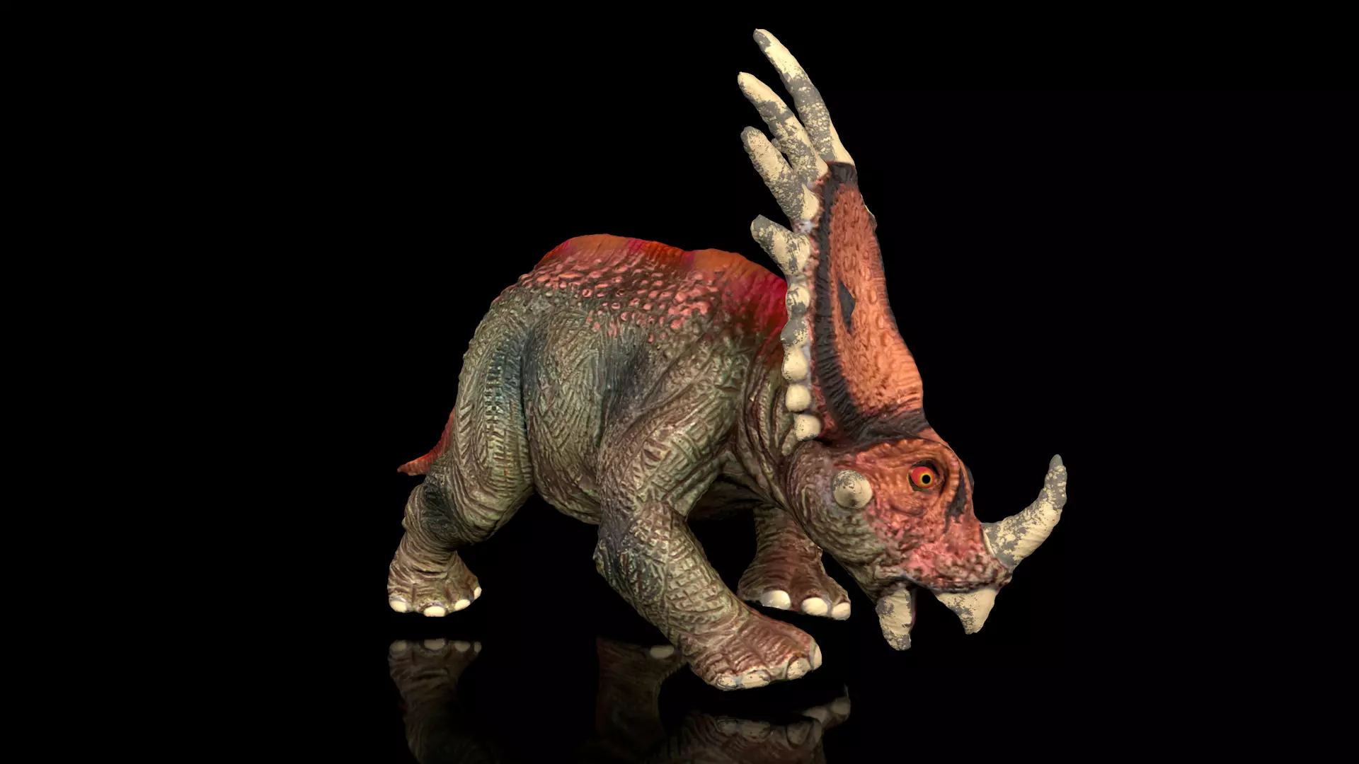 Styracosaurus spiny lizard Low-poly 3D model_0
