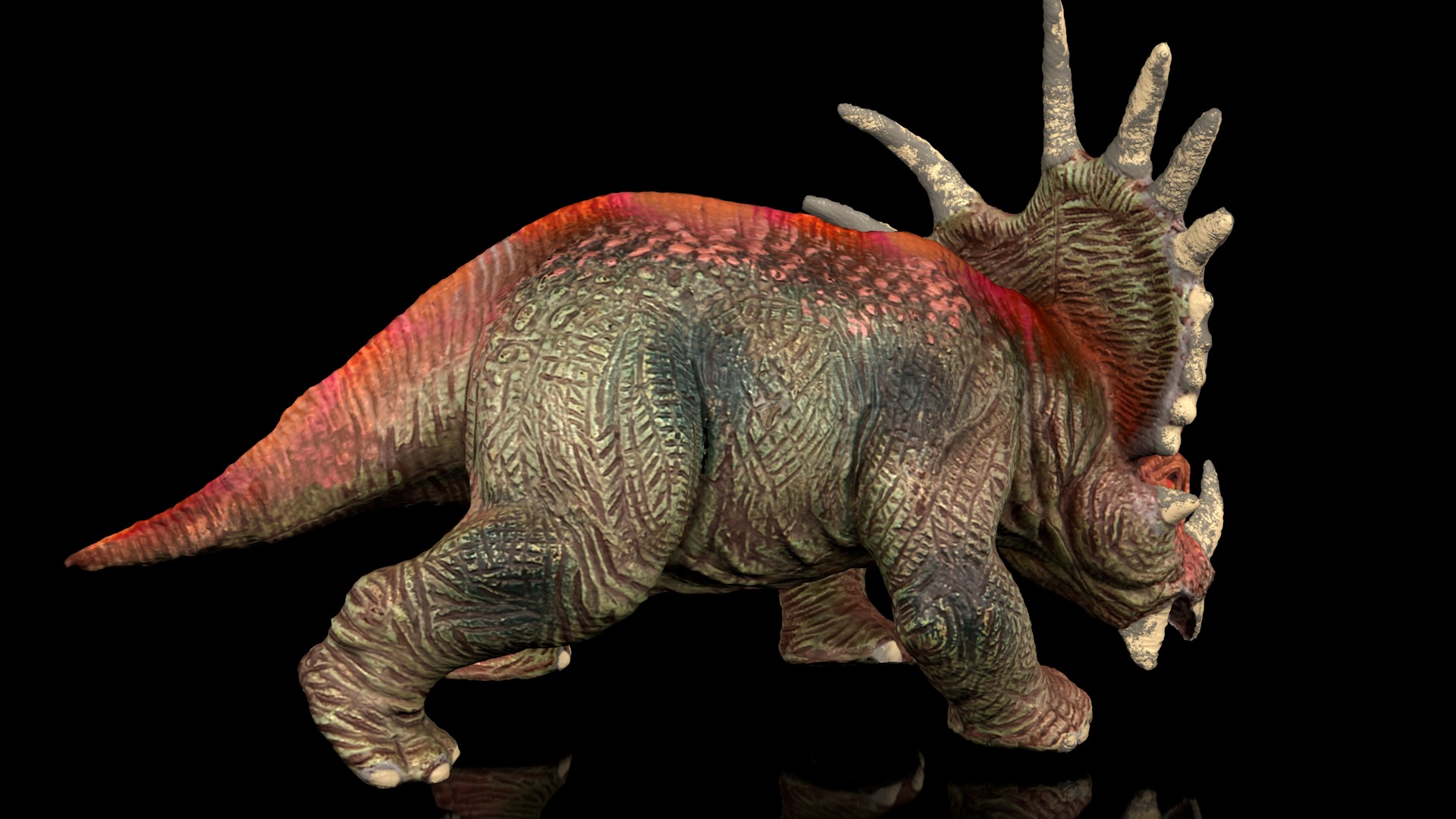 Styracosaurus spiny lizard Low-poly 3D model_4