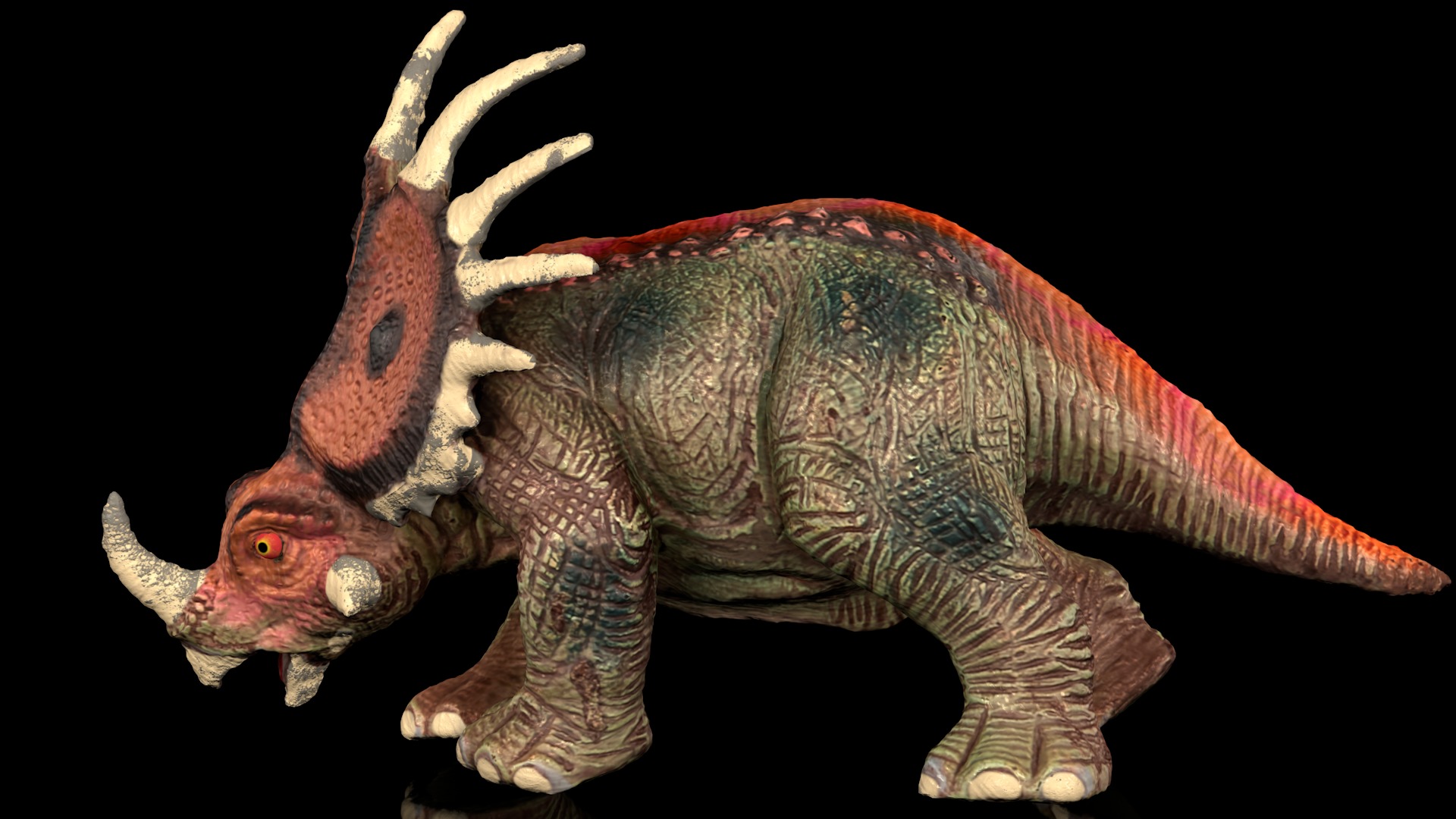 Styracosaurus spiny lizard Low-poly 3D model_2