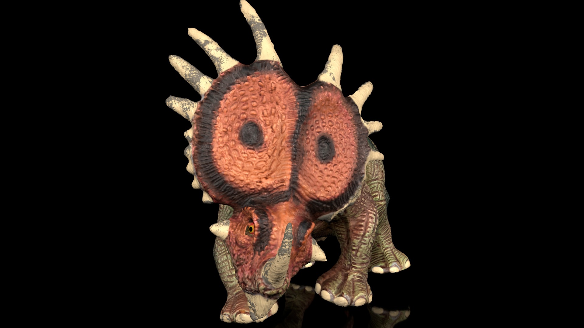 Styracosaurus spiny lizard Low-poly 3D model_6