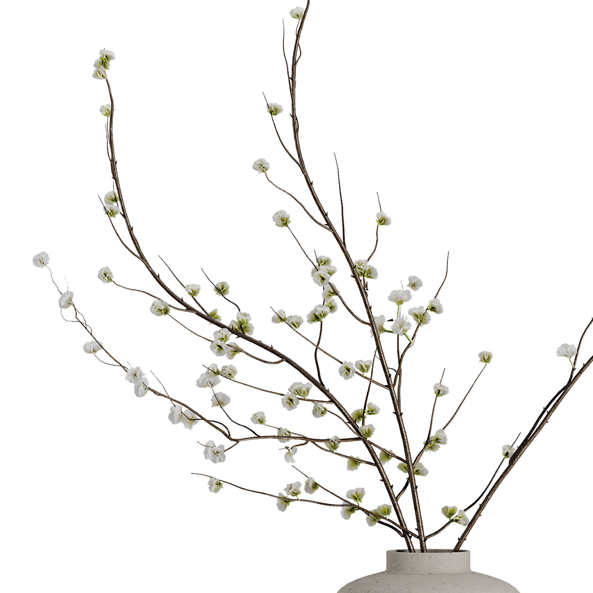 Dry branches vase Set45 3D model_2