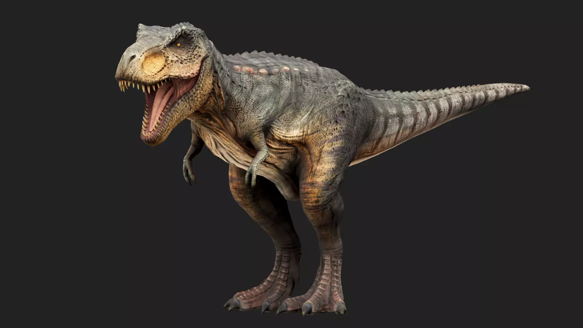 Tyrannosaurus Rex Low-poly 3D model_0