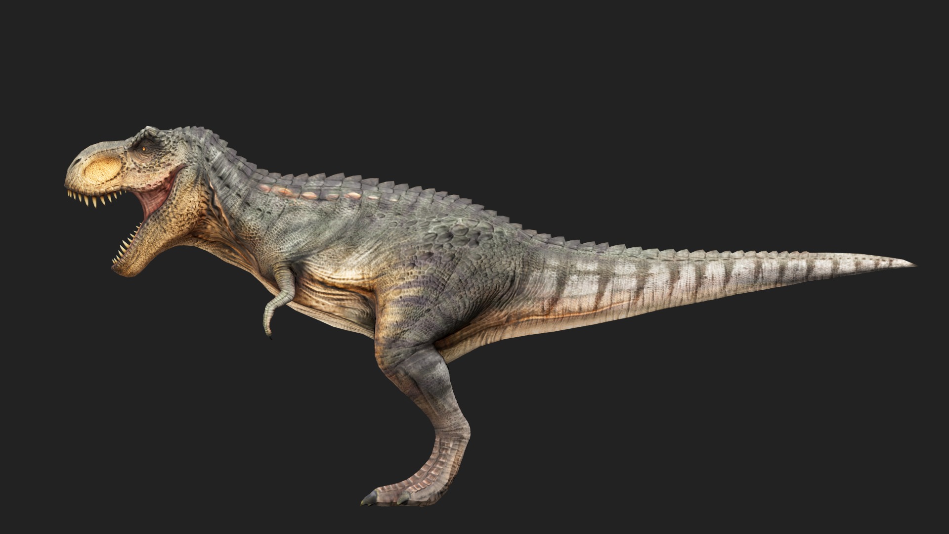 Tyrannosaurus Rex Low-poly 3D model_4