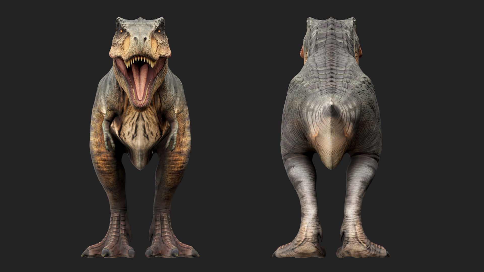 Tyrannosaurus Rex Low-poly 3D model_6