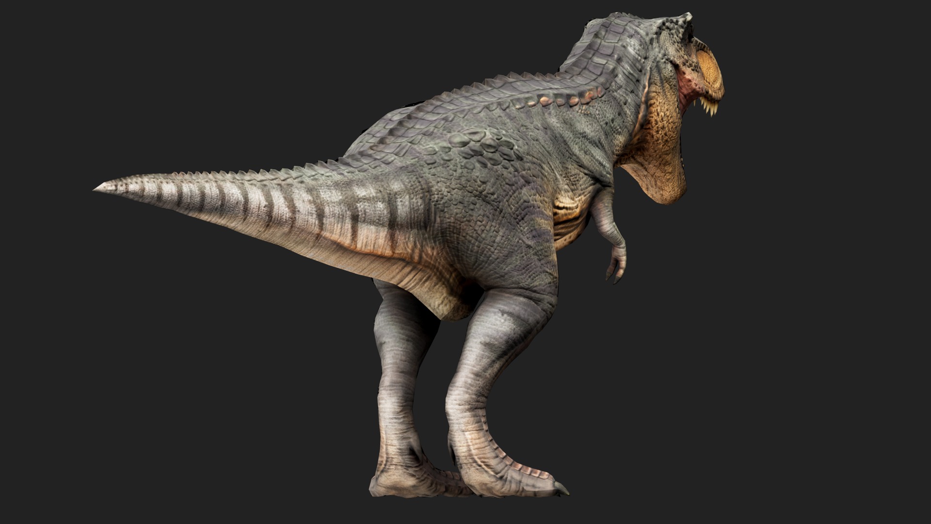 Tyrannosaurus Rex Low-poly 3D model_2