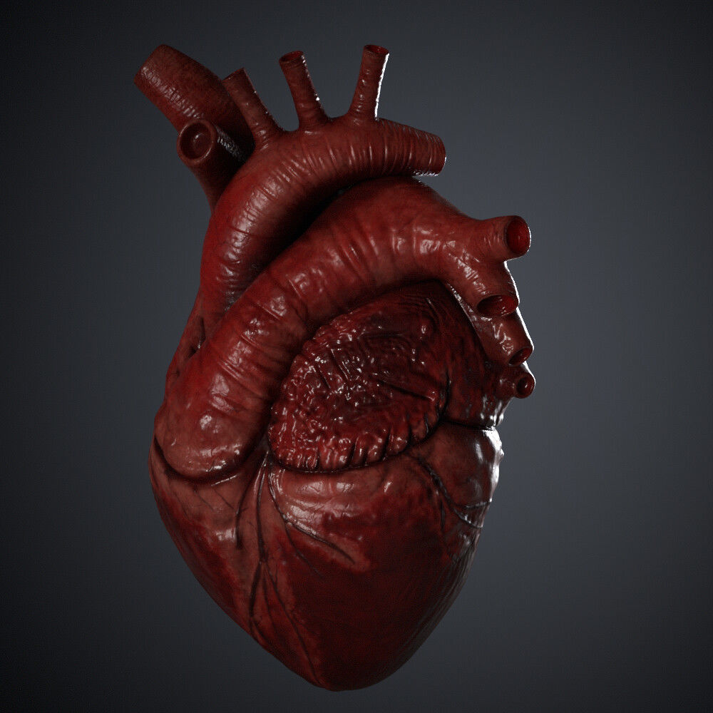 Human Heart 3D model_1