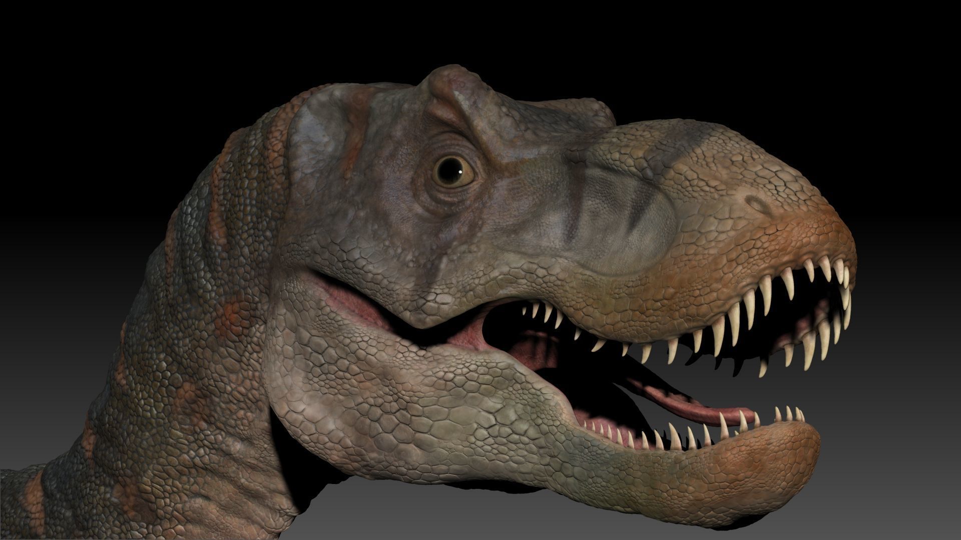 Dinosaur Baby Tyrannosaurus Rex Sculpt Project 3D model_20