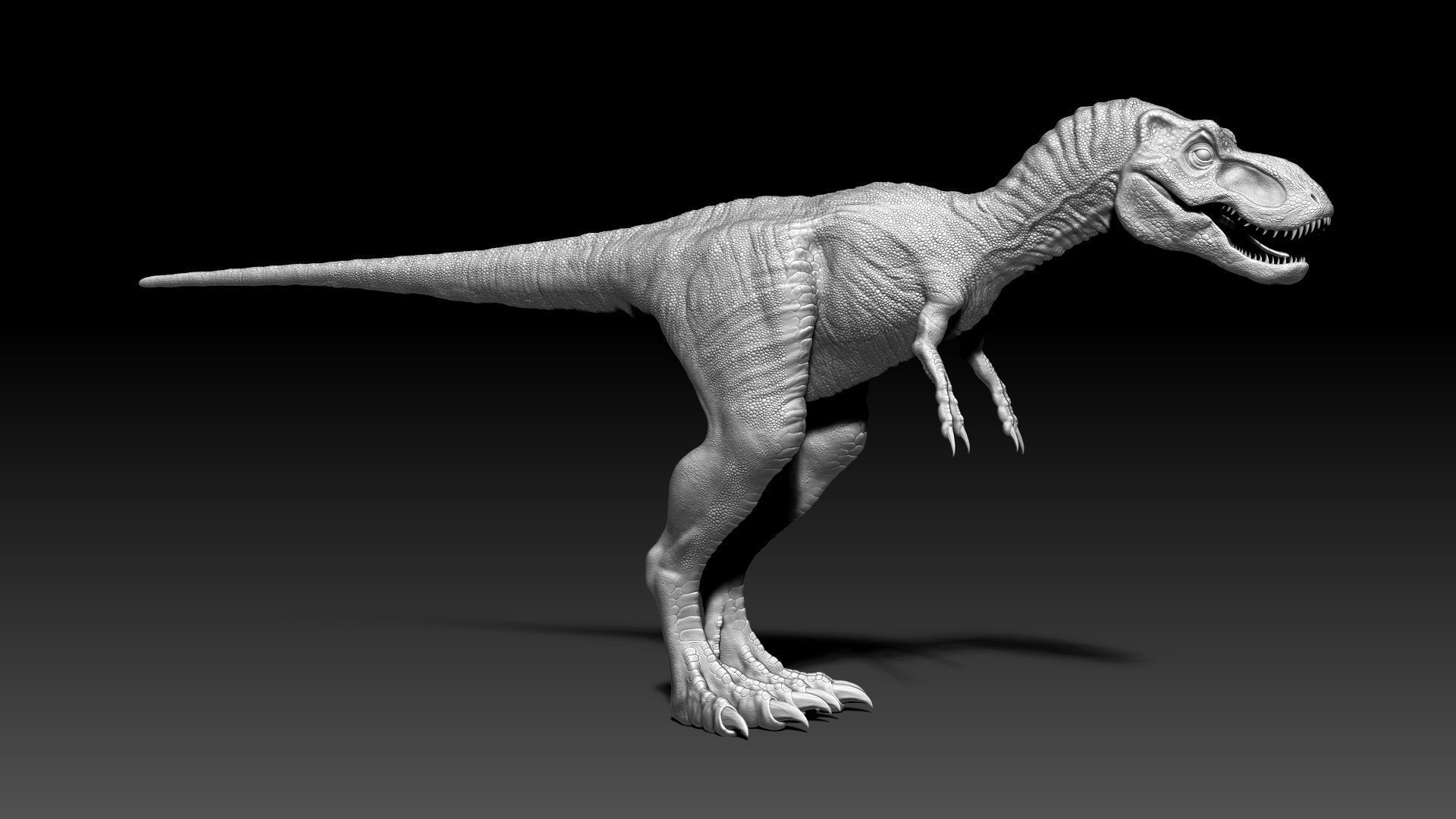 Dinosaur Baby Tyrannosaurus Rex Sculpt Project 3D model_10