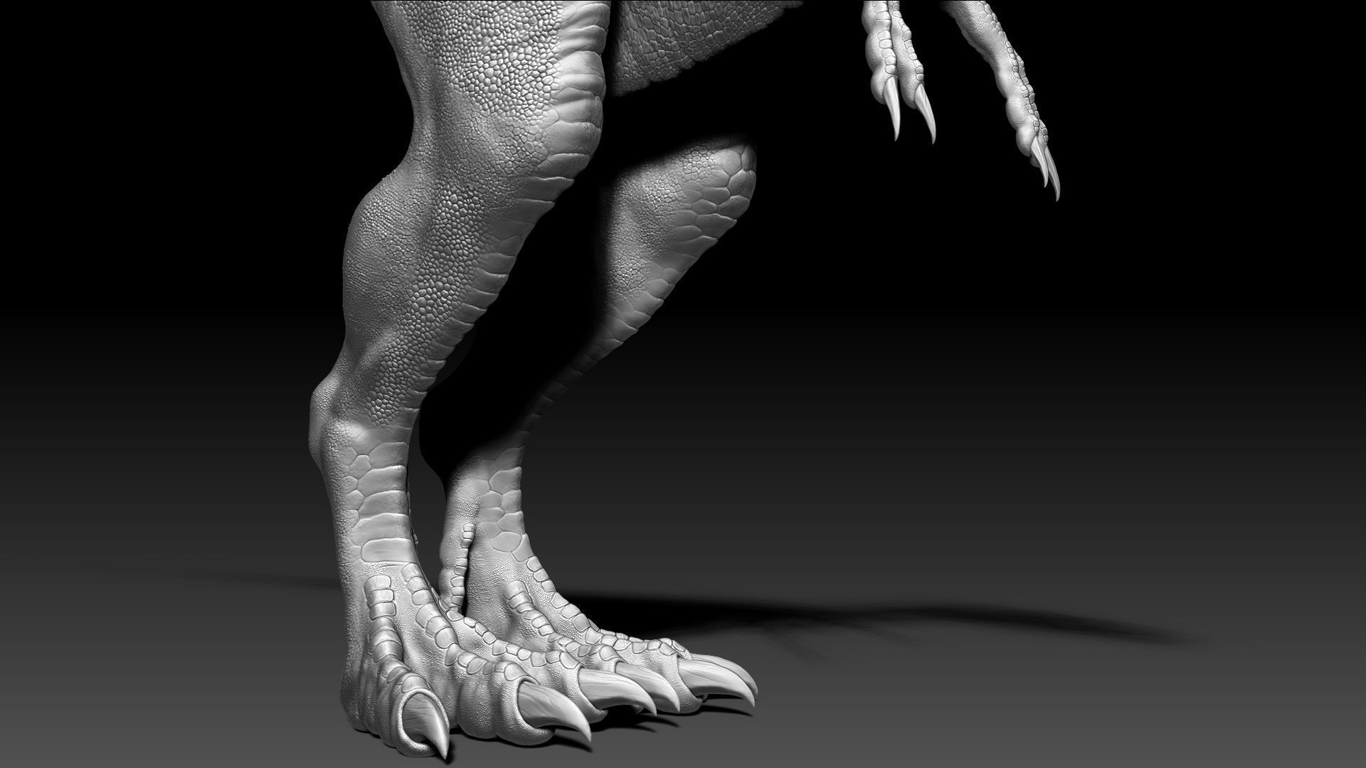 Dinosaur Baby Tyrannosaurus Rex Sculpt Project 3D model_6