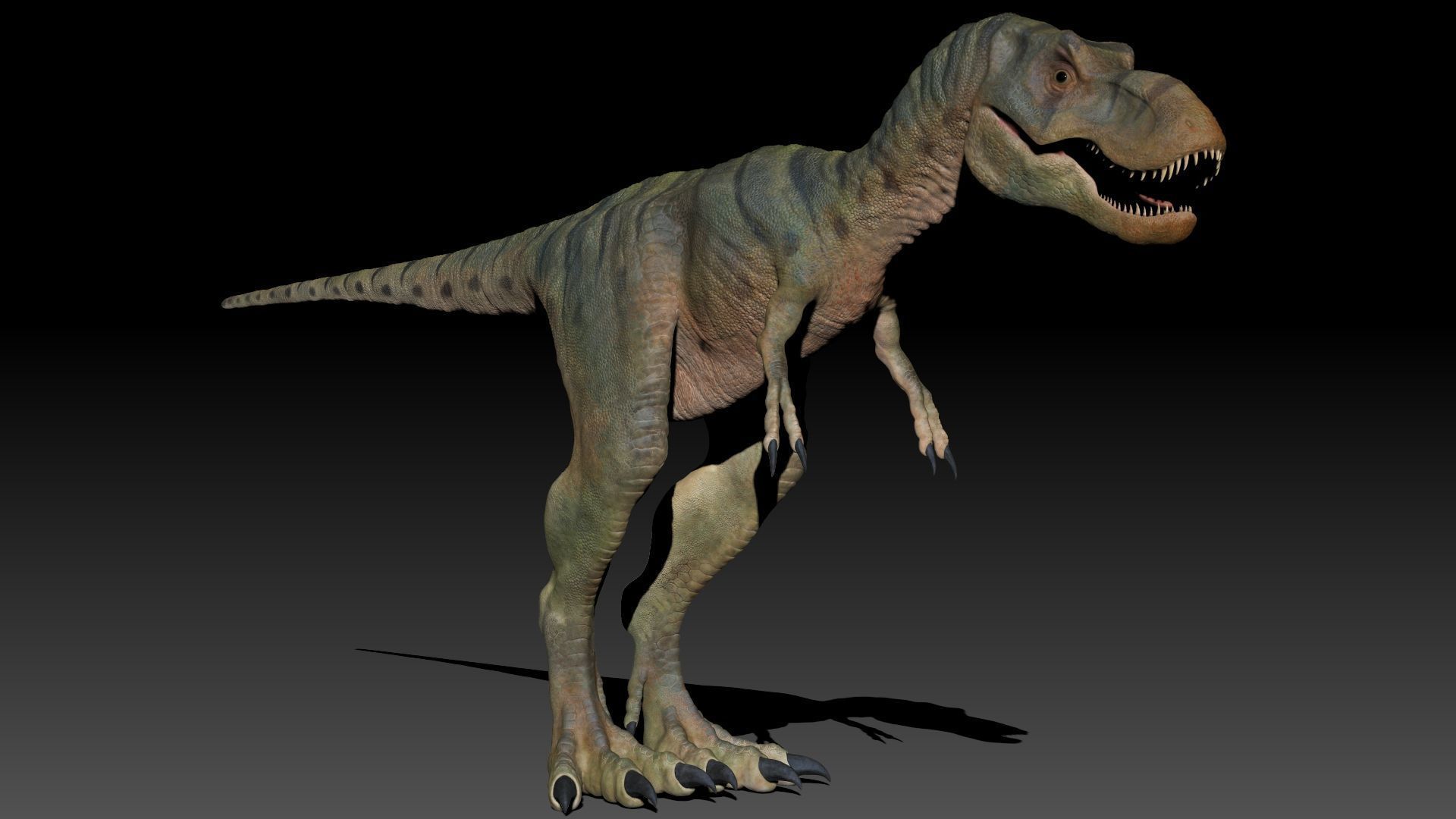 Dinosaur Baby Tyrannosaurus Rex Sculpt Project 3D model_15