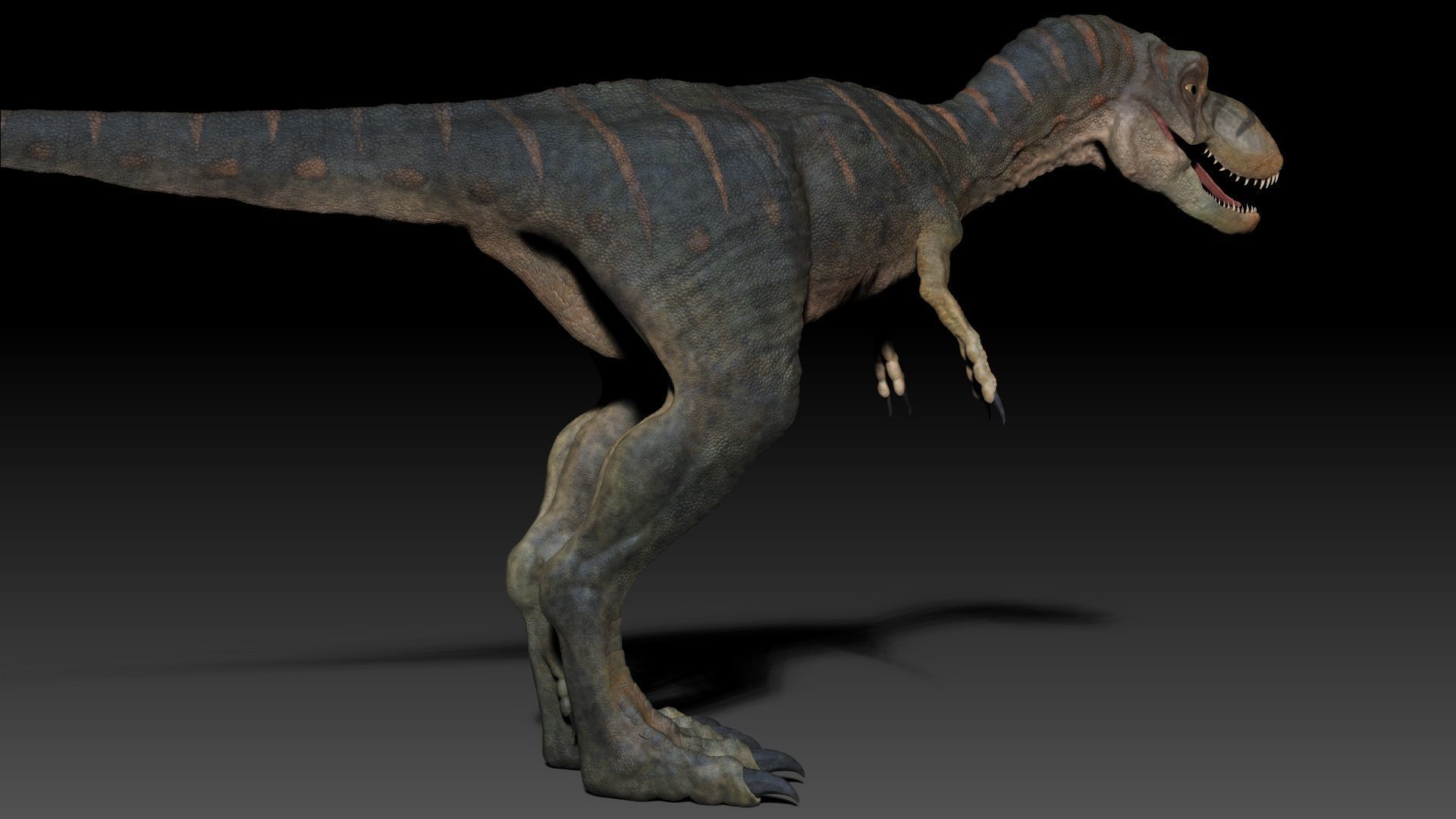 Dinosaur Baby Tyrannosaurus Rex Sculpt Project 3D model_16