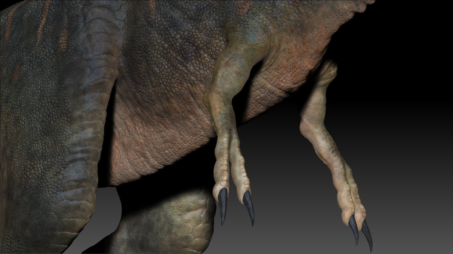 Dinosaur Baby Tyrannosaurus Rex Sculpt Project 3D model_13