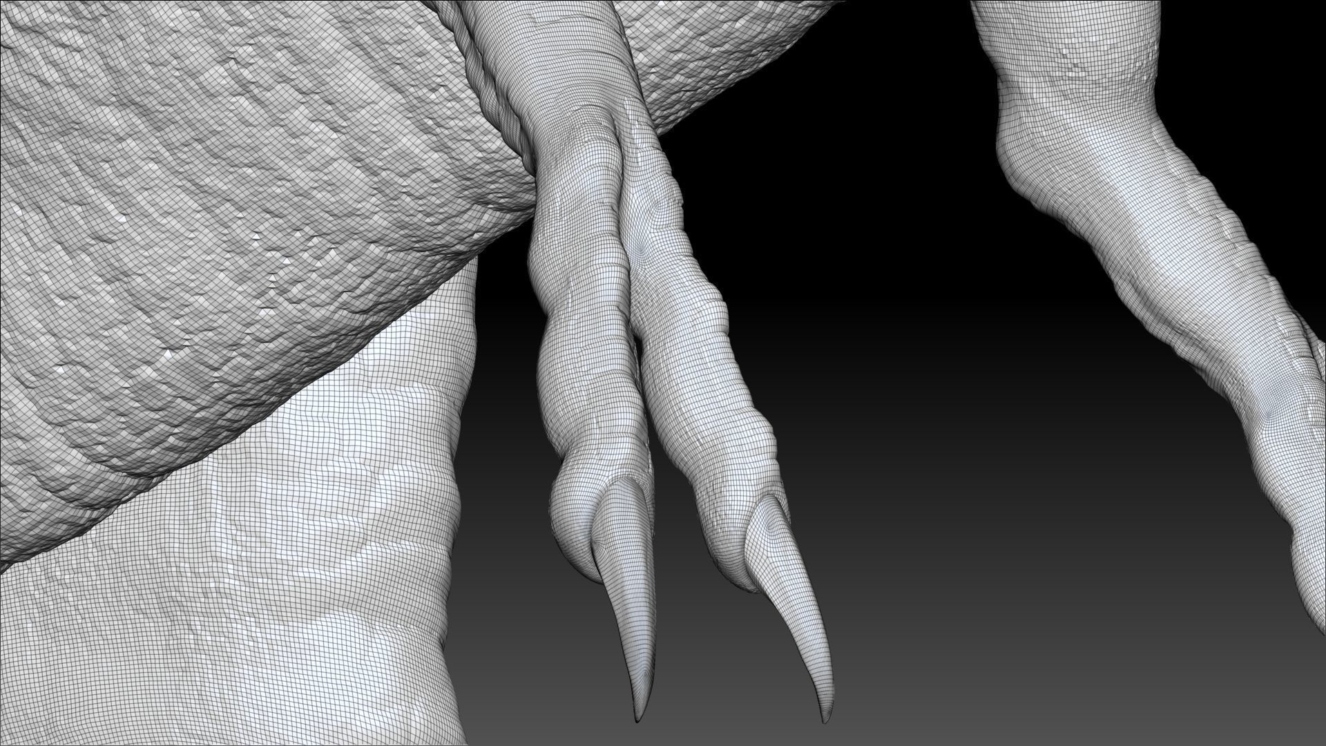 Dinosaur Baby Tyrannosaurus Rex Sculpt Project 3D model_24