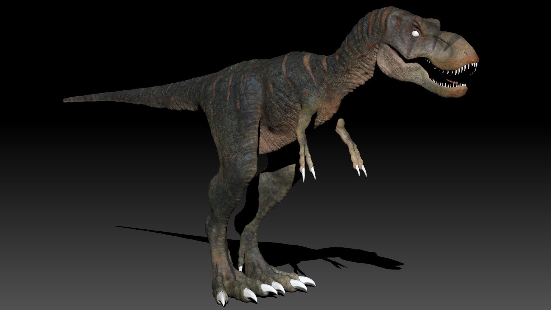 Dinosaur Baby Tyrannosaurus Rex Sculpt Project 3D model_19