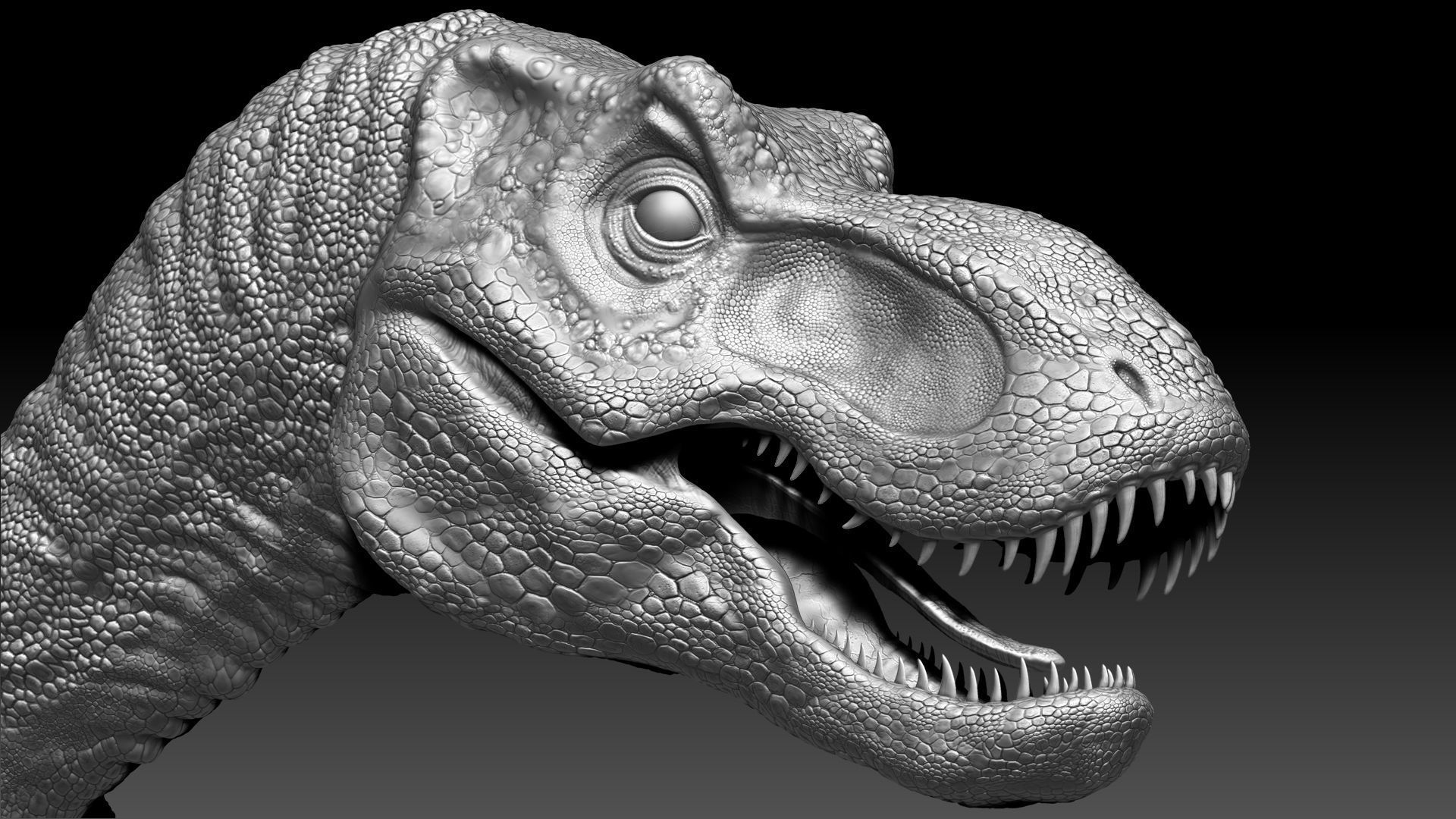 Dinosaur Baby Tyrannosaurus Rex Sculpt Project 3D model_3