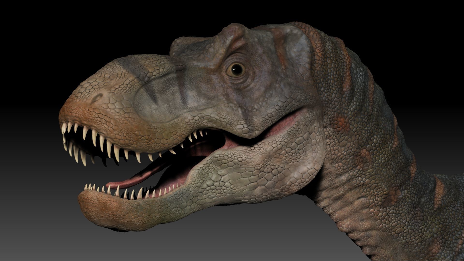 Dinosaur Baby Tyrannosaurus Rex Sculpt Project 3D model_17