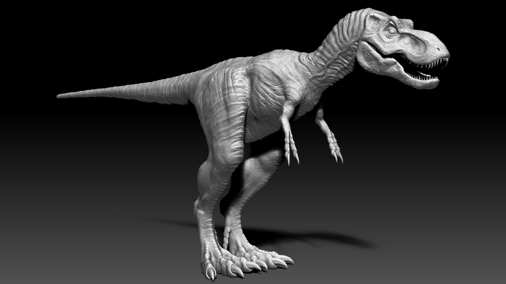 Dinosaur Baby Tyrannosaurus Rex Sculpt Project 3D model_2