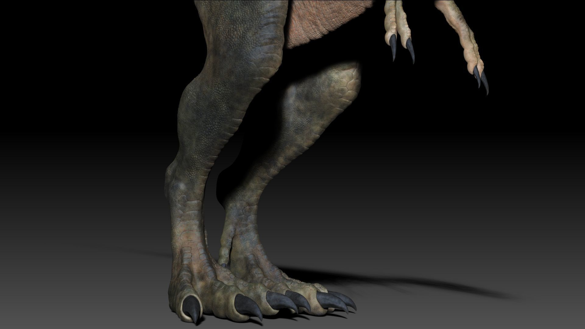 Dinosaur Baby Tyrannosaurus Rex Sculpt Project 3D model_14