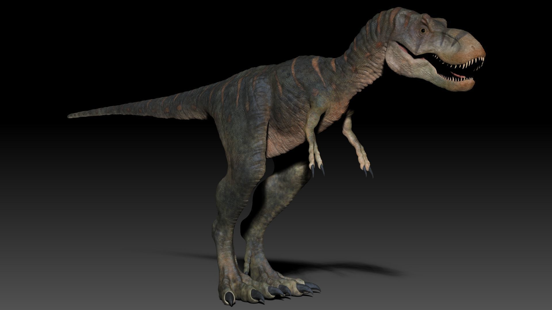 Dinosaur Baby Tyrannosaurus Rex Sculpt Project 3D model_11