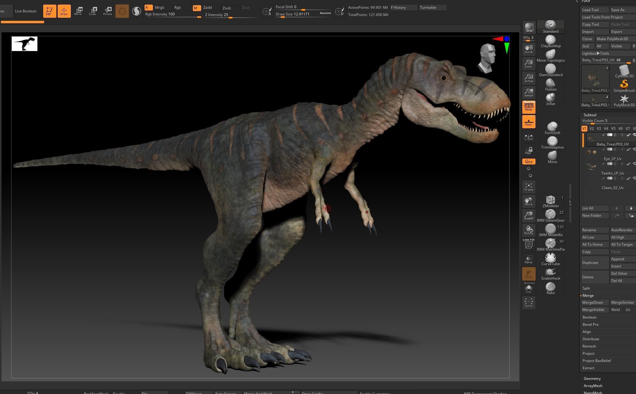 Dinosaur Baby Tyrannosaurus Rex Sculpt Project 3D model_18