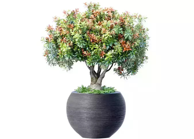 Decorative flowering tree in modern vase urn pot