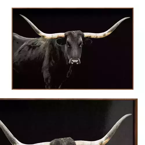 Longhorn Framed Print 3D model