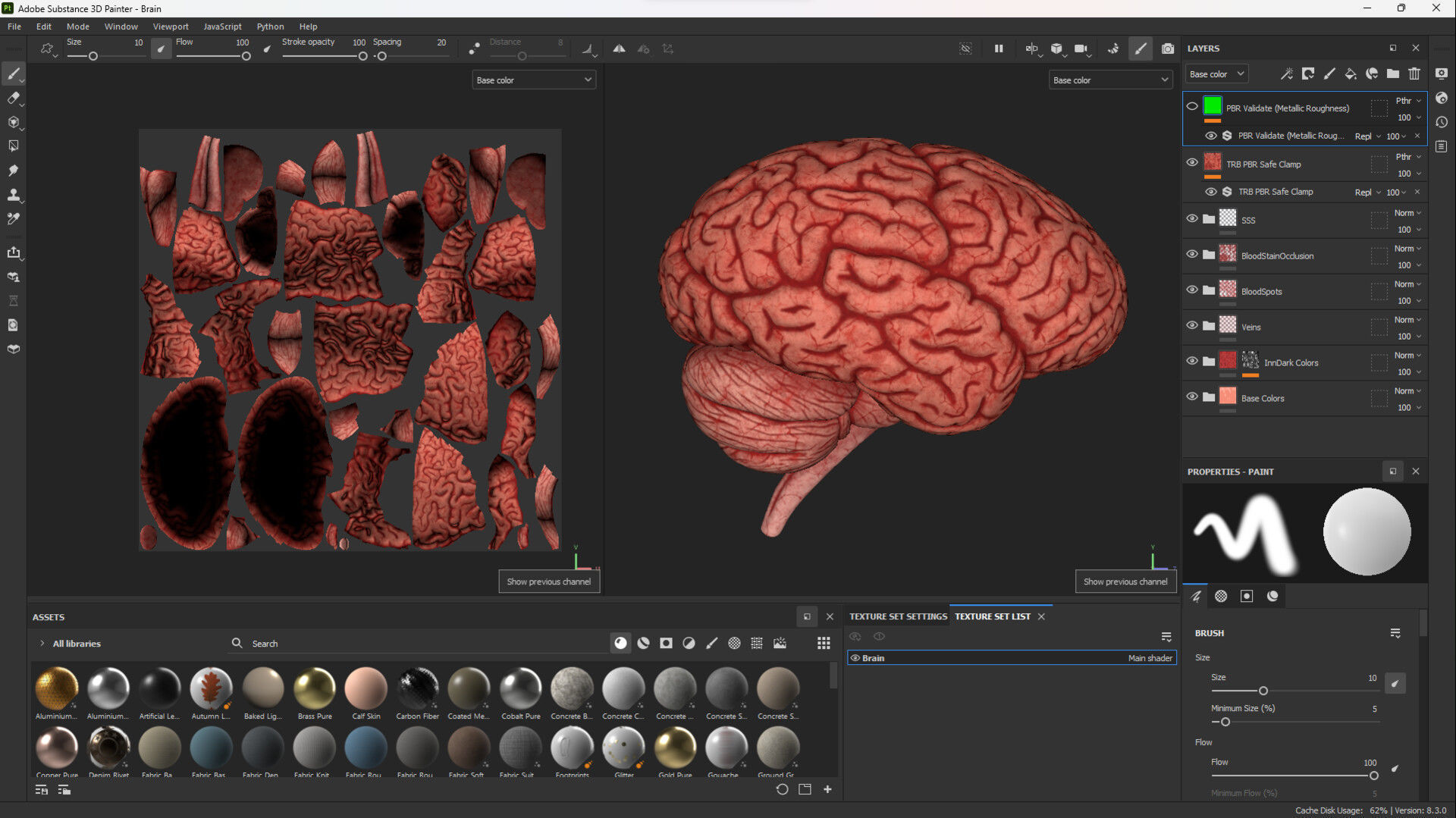 Human Brain Model with Ztool and Substance painter file 3D model_6