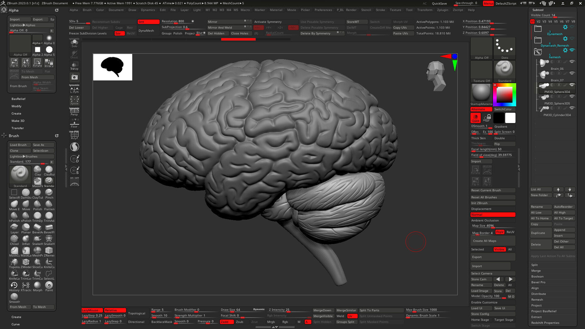 Human Brain Model with Ztool and Substance painter file 3D model_5